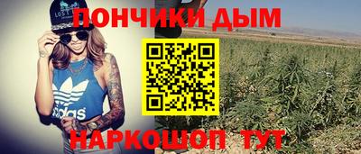 спиды Камень-на-Оби