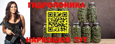 спиды Камень-на-Оби
