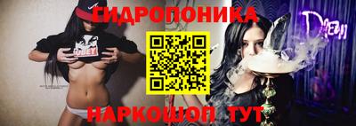 спиды Камень-на-Оби